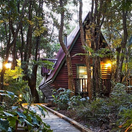 The Mouses House Rainforest Retreat Springbrook Exterior foto