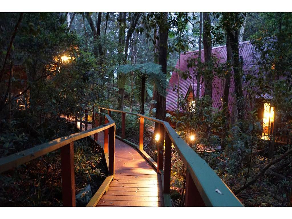 The Mouses House Rainforest Retreat Springbrook Exterior foto