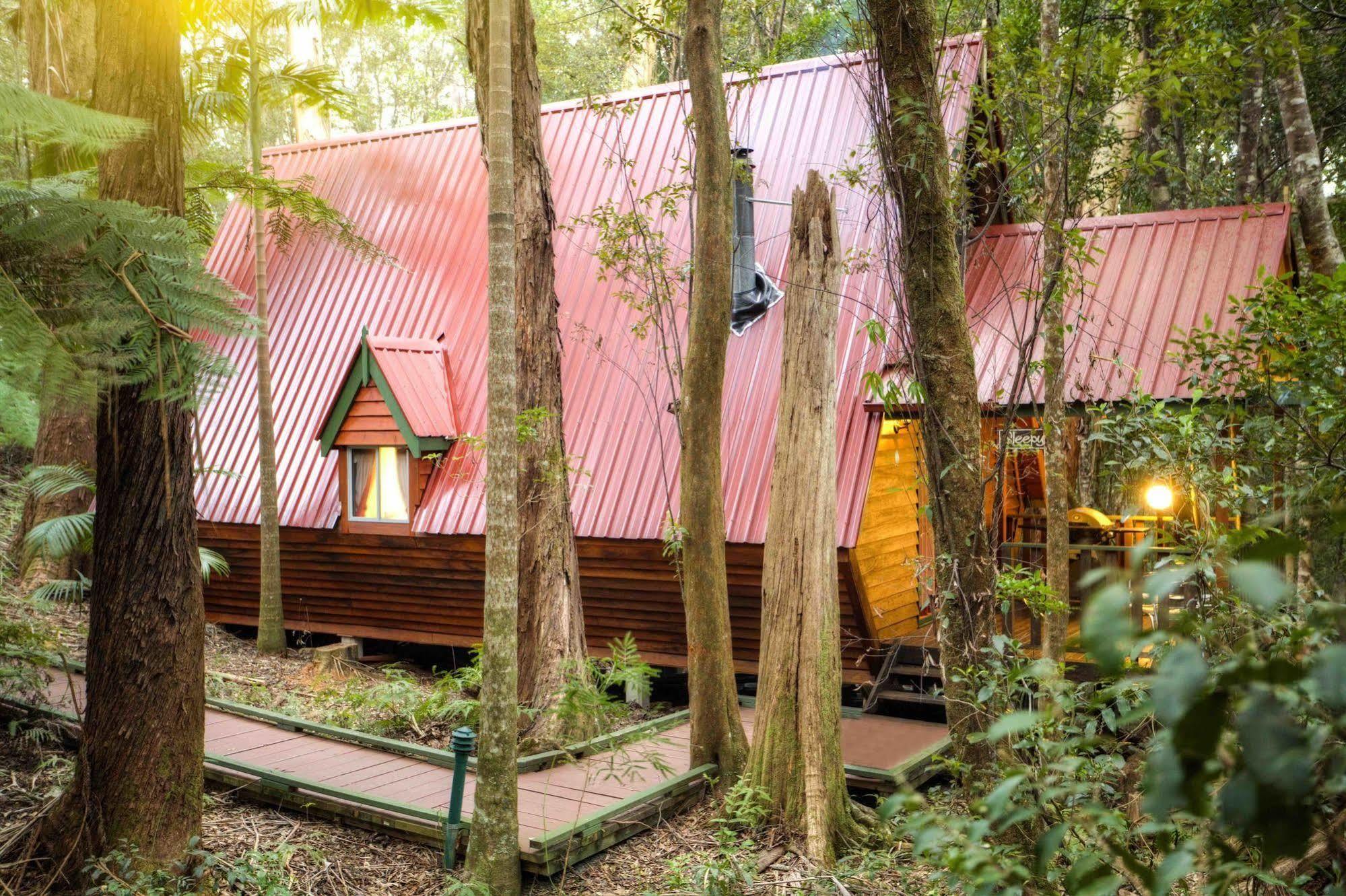 The Mouses House Rainforest Retreat Springbrook Exterior foto